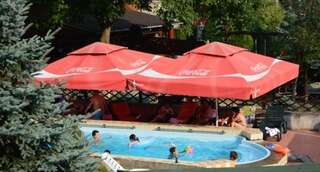 Гостевой дом Pensiunea El Plazza Бэиле-Еркулане-5